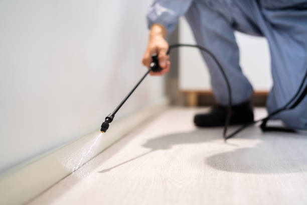 Bed Bug Pre-Treatment Preparation Assessment in Delcambre