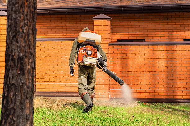 Bed Bug Clearance Verification and Documentation in Delcambre